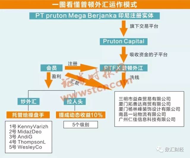 普顿外汇最新动态与小巷特色小店探秘