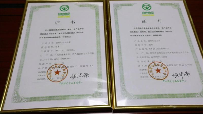 时代印记与文化繁荣，2013最新电影回顾