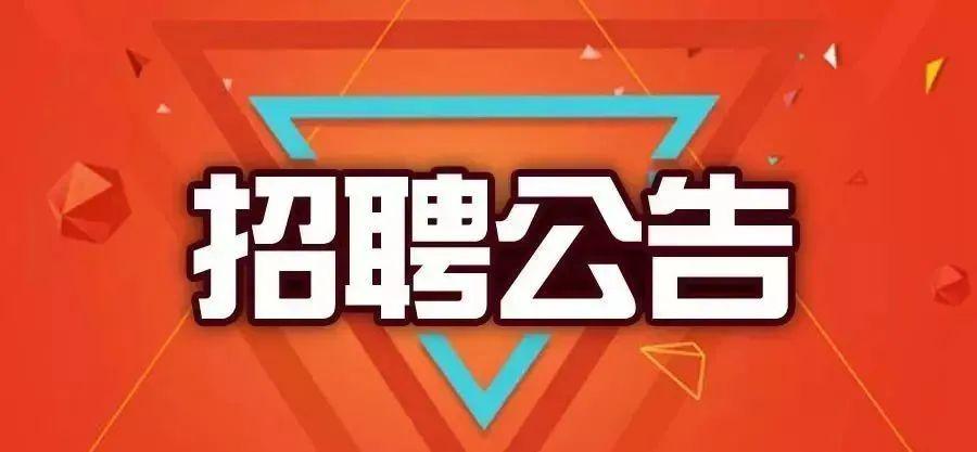 科技重塑未来，最新招聘科技产品介绍，体验无限可能