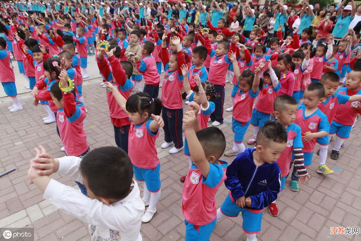 幼儿园最新早操视频，详细步骤指南与操作指南