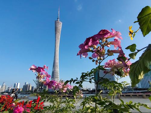 广州冷空气最新预报与小巷深处的独特风情美食探索