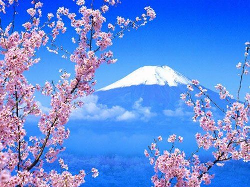 最新日本一本道，与自然美景的邂逅，探索内心平和之旅