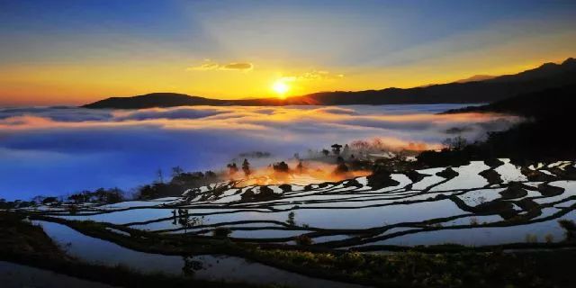 最新歌曲网站，自然美景的心灵之旅