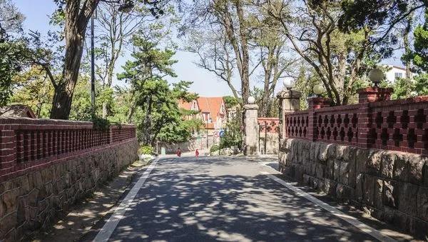 战狼最新票房揭秘与小巷特色小店探秘之旅