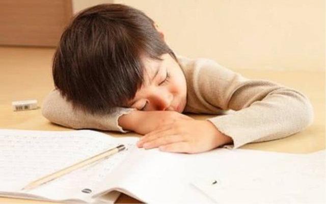 最新谜语大全及答案，变化中的学习之旅，自信与成就感的源泉