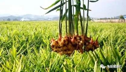 青岛物流公司 第260页