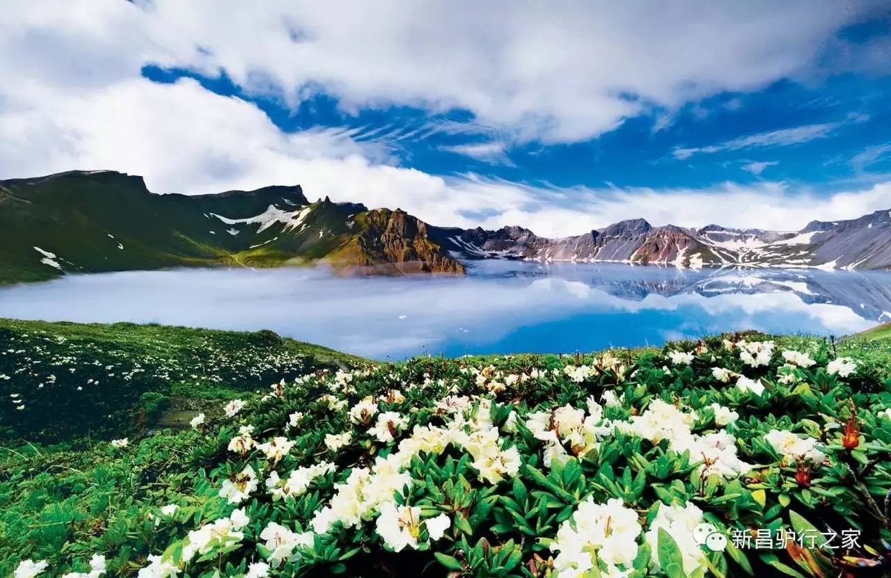 自然美景治愈之旅，最新探索旅行报道发布