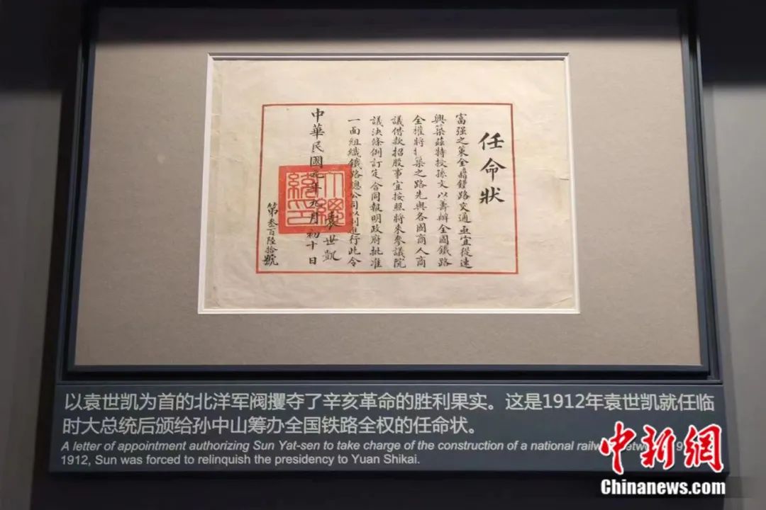 河南大蒜最新价格背后的故事，友情与陪伴的新篇章