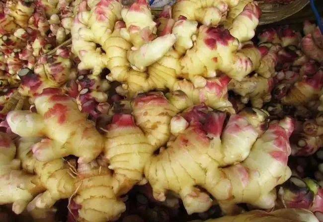 姜的最新价格及小巷深处的独特风味探索