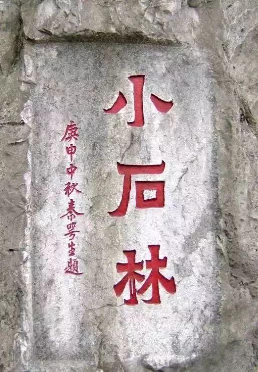 石林最新招聘，小巷中的隐藏宝藏，探索职业新机遇！