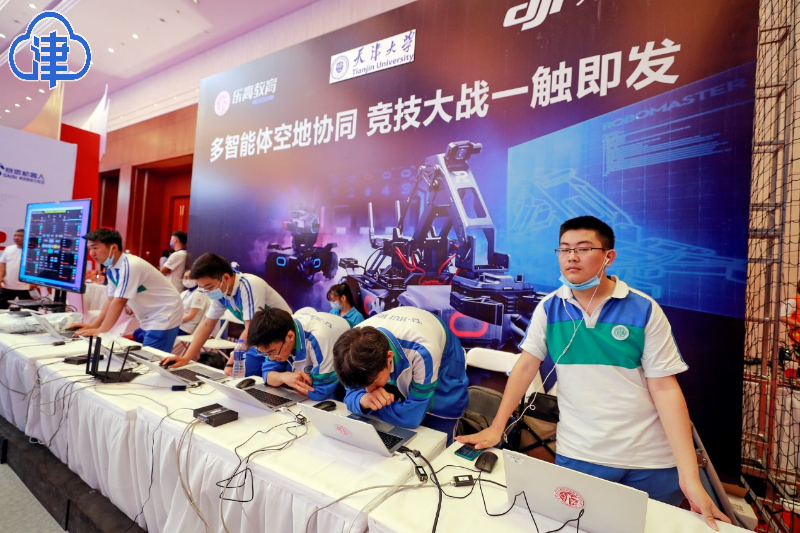 苍术最新价格，科技与生活交融下的市场走势神奇体验