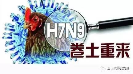 H7N9禽流感最新动态，背景、进展及影响概述