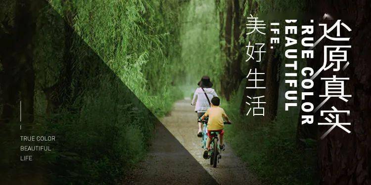天蚕土豆最新，自然美景探索之旅，追寻内心的平和与喜悦