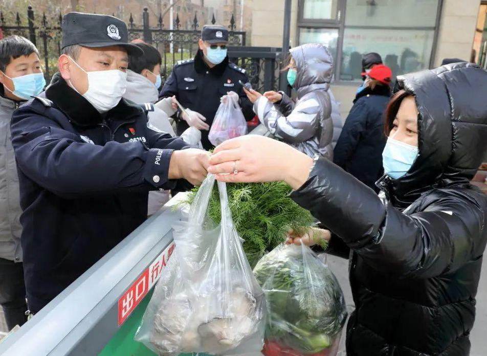 麻山药价格最新行情及分析