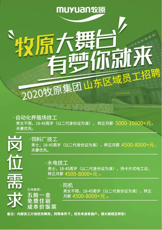 东营招聘网最新招聘信息汇总