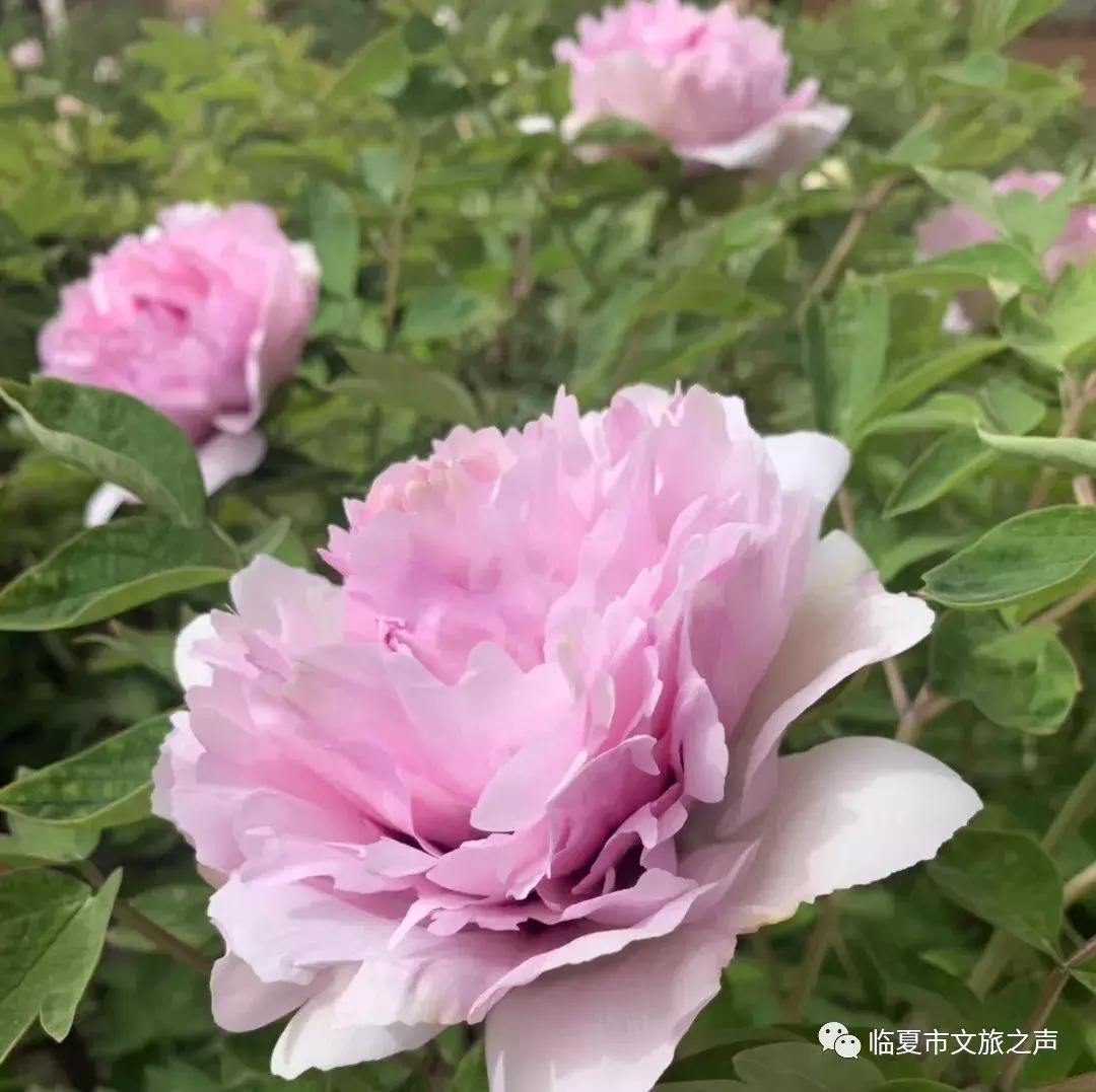 最新司机临时工，与自然美景的不解之缘探索