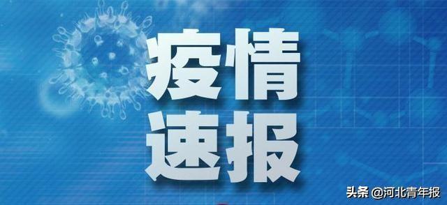 河北新型肺炎最新动态更新📢