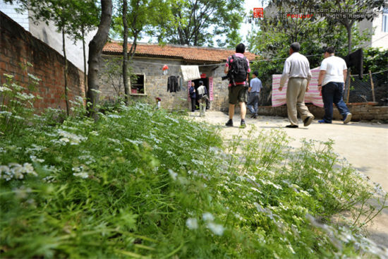 兴平最新二手房探索自然美景之旅，寻找内心平静的旅程