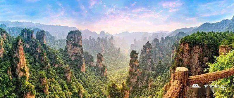TARA最新动态，自然美景探索之旅，心灵宁静之旅启幕