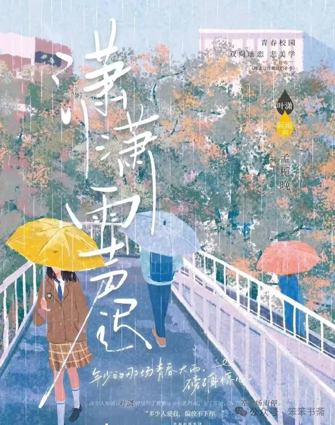 沐清雨最新小说，情感深处的奇幻探索之旅
