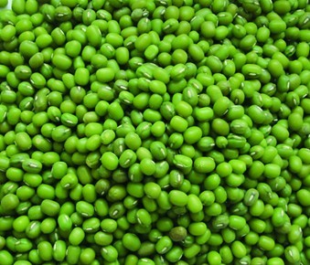 绿豆批发价格最新动态更新
