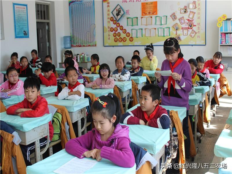 全民农场最新版本，轻松探索自然美景的农场之旅