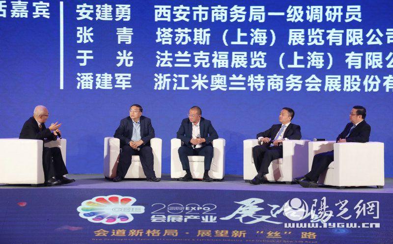 空港股份最新动态，深度分析与观点阐述