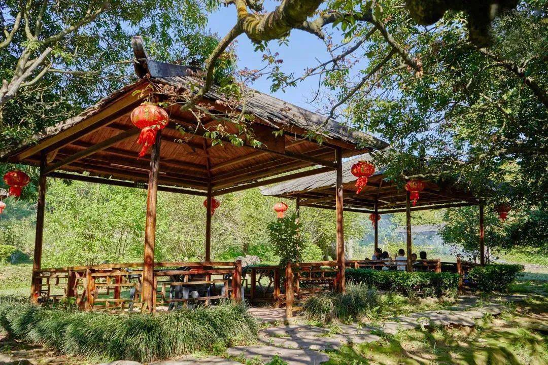 最新农家乐，自然美景探索之旅，尽享愉快旅程