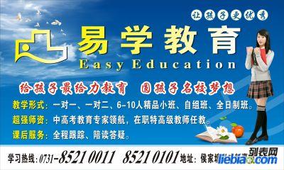 智通招聘网最新招聘观点论述，解析最新职位信息与求职策略