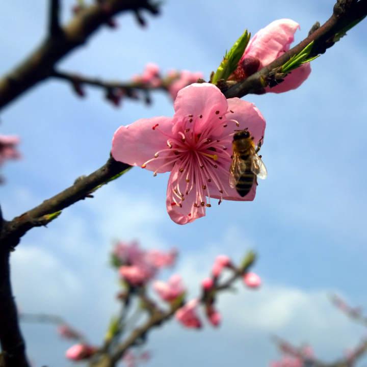 运输服务 第41页