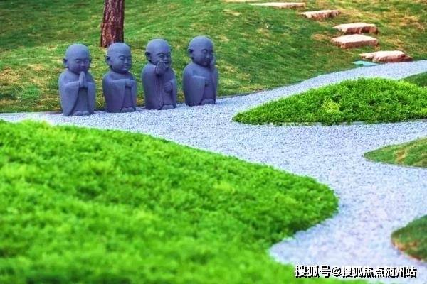 最新骚扰现象深度解析与观点阐述